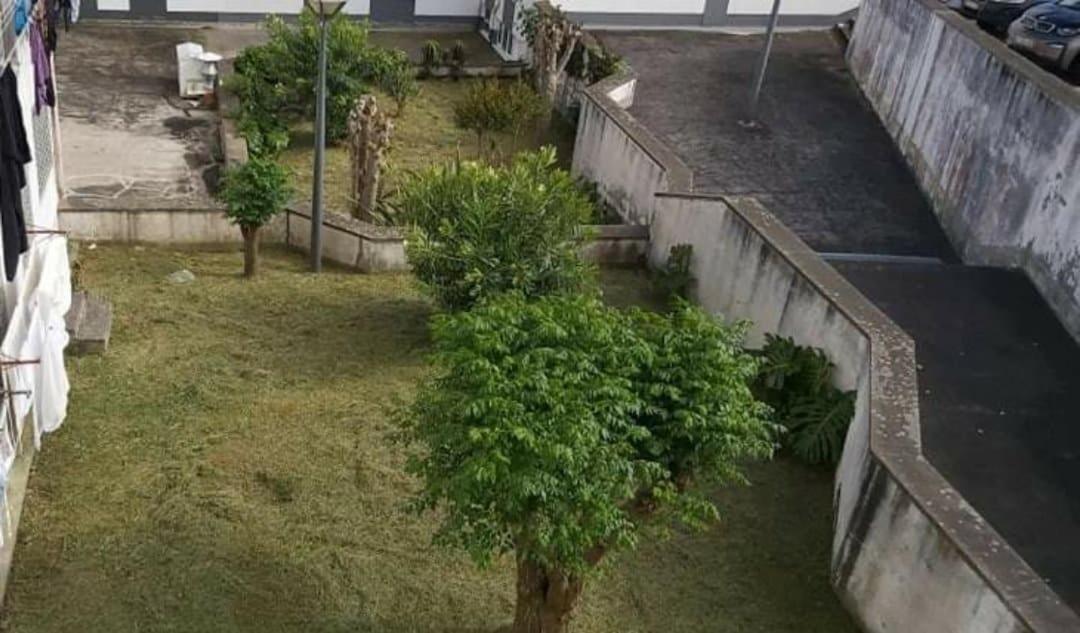 Apartamento Orquidea Ponta Delgada Zewnętrze zdjęcie